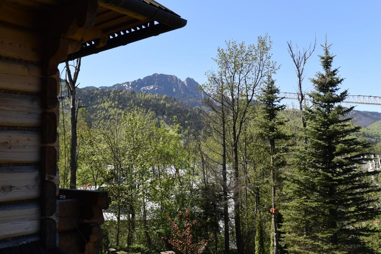Willa Wojciechowo Zakopane Luaran gambar