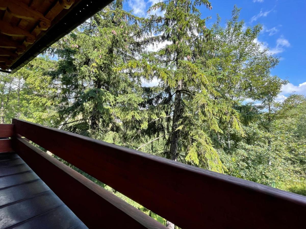 Willa Wojciechowo Zakopane Luaran gambar